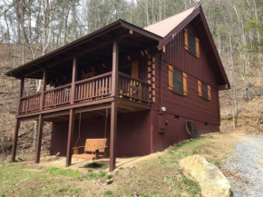 Dollywood-Brand New Dancing Bear 4